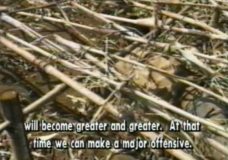 Burmese Guerrilla Training