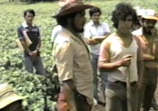 [7/29 Potato Farm near Estelí – Interviews with Campos]